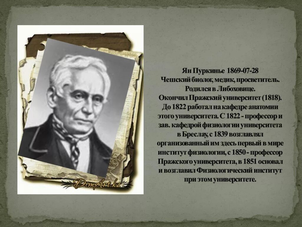 1840 ян пуркинье. Анатом пуркинье. Вклад пуркинье в клеточную теорию. Вклад пуркинье в клеточную теорию. Вклад пуркинье в клеточную теорию.