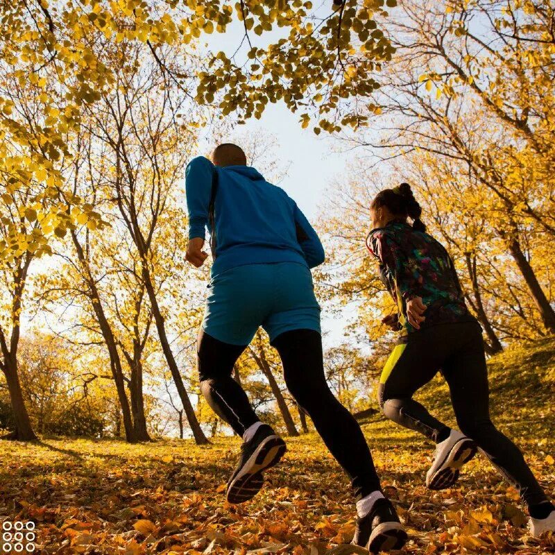 бегущий лист. мальчик осень. бегущий лист. спортивный лес. вечерний осенний бег.