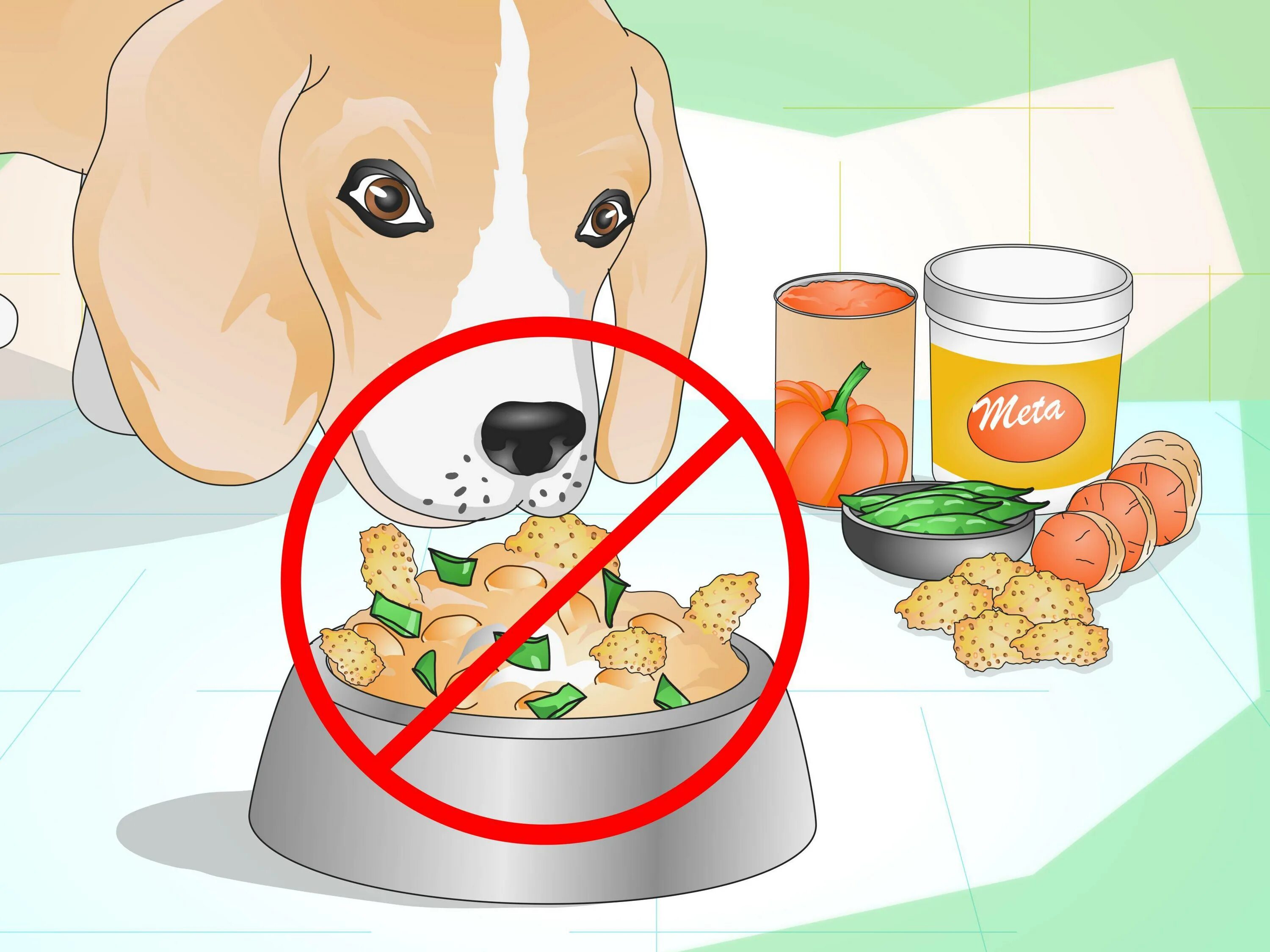 Можно ли давать собаке капусту. Кормление собак. Натуральная еда для животных. Пища собак. Кормление собаки кормом.