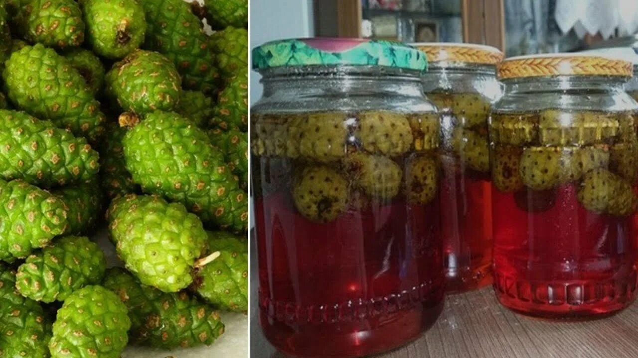Когда собирают зеленую шишку