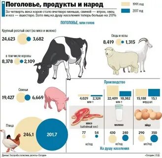 Первое место в мире по поголовью свиней