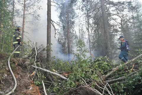 Пожары в карелии