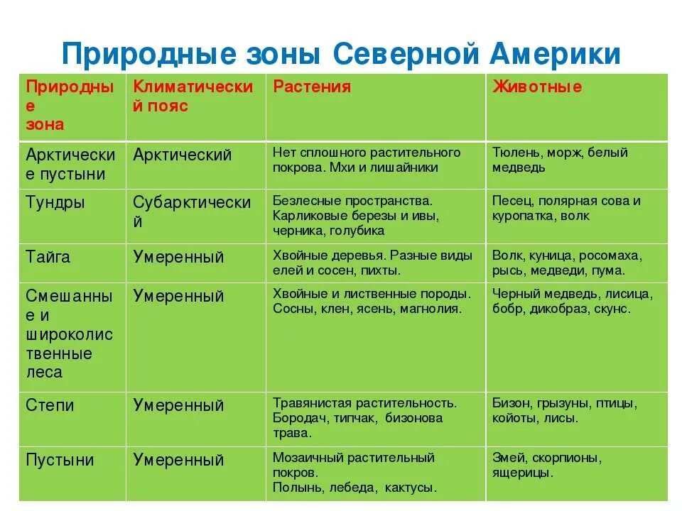 Таблица природные зоны и население Северной Америки география 7 класс. Природные зоны Северной Америки 7 класс таблица. Таблица природные зоны Северной Америки по географии 7. Характеристика природных зон Северной Америки 7 класс география.