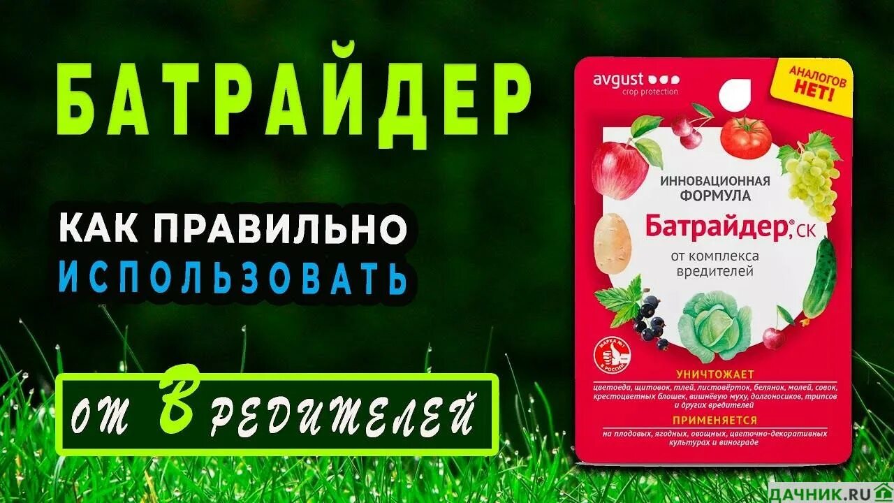 Батрайдер от вредителей инструкция по применению. БАТРАЙДЕР 10 мл. БАТРАЙДЕР инсектицид. БАТРАЙДЕР средство от вредителей. Средство от вредителей для плодовых деревьев БАТРАЙДЕР.