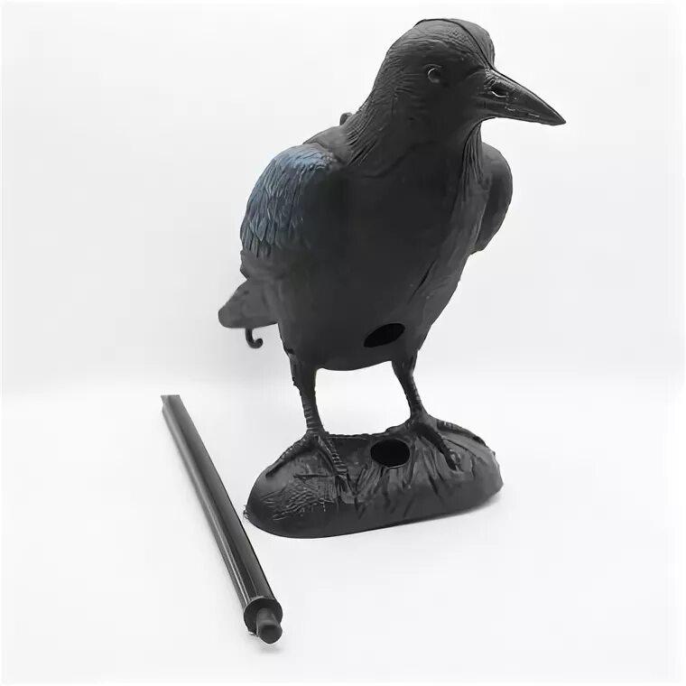 Crow sport. Муляж вороны на колышке sport plast cr 751. Муляж вороны. Ворона серая sport plast (италия) im-751. Crow sport.
