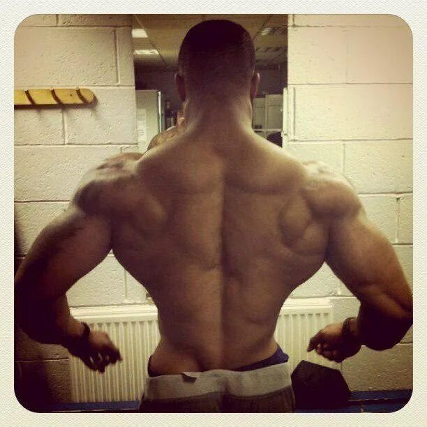 качок со спины. накаченная спина. спина атлета. качок со спины. качок со спины.