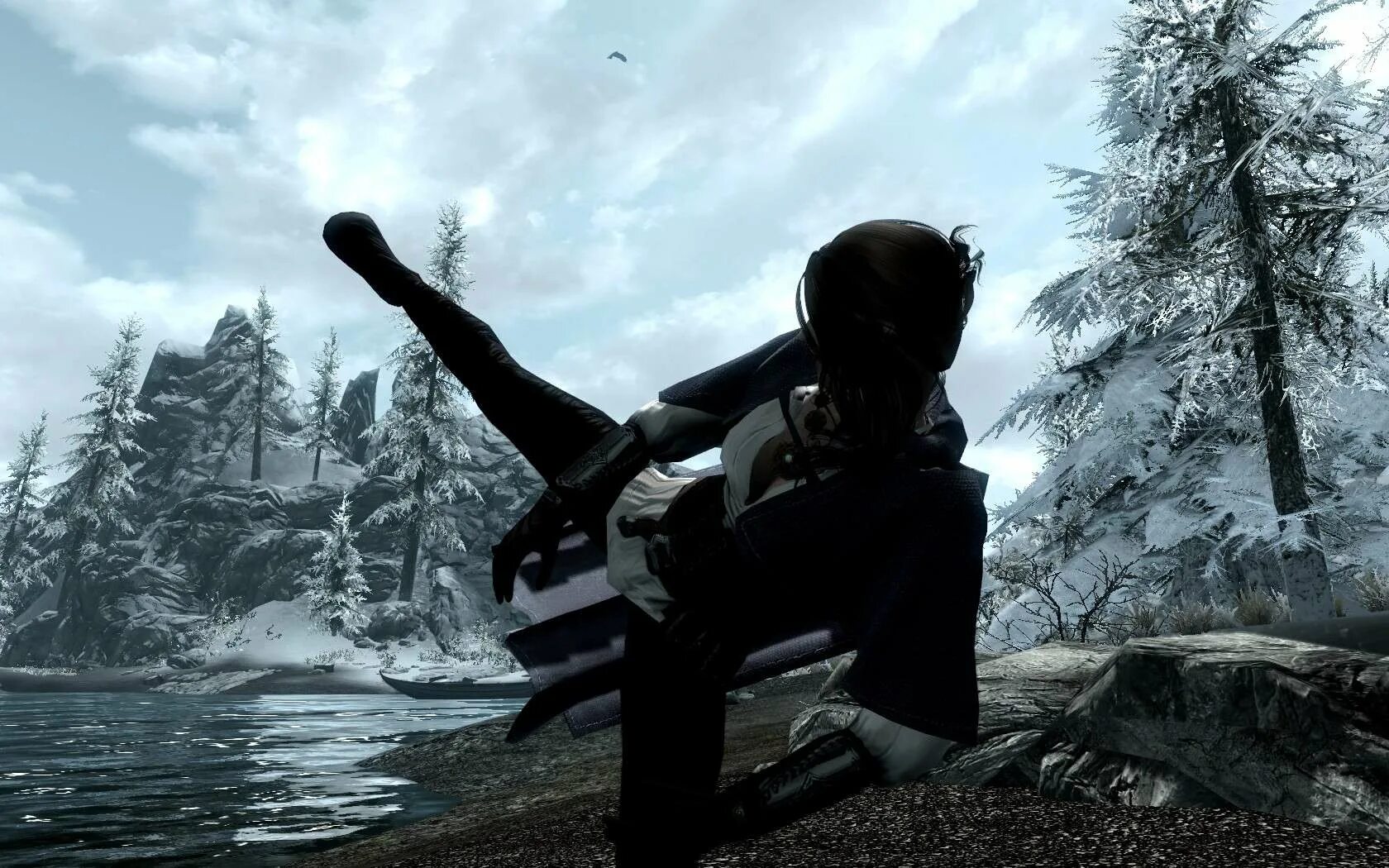 Skyrim legendary edition анимации
