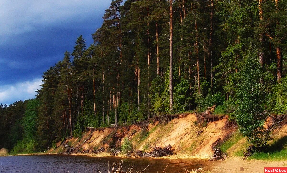 Городомля на селигере. Остров Городомля. Остров Городомля оз Селигер. Остров Солнечный на Селигере.