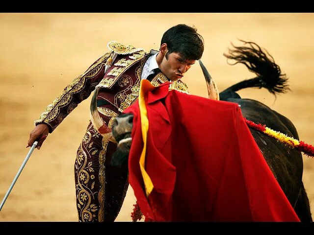 Тореро сайт. Коррида костюм. тореро на улицах. torero xo.