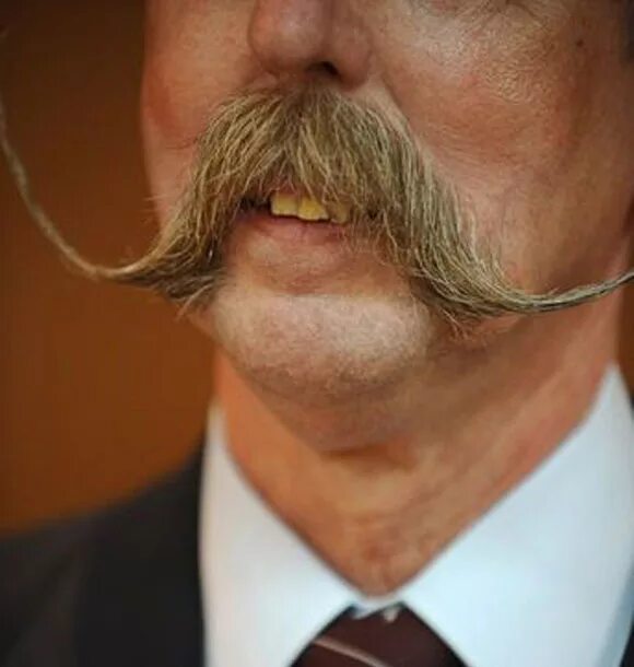 Усы бернсайд. Усы сальвадора дали. Китайские усы. Мужчина с большими усами. Что значат усы.