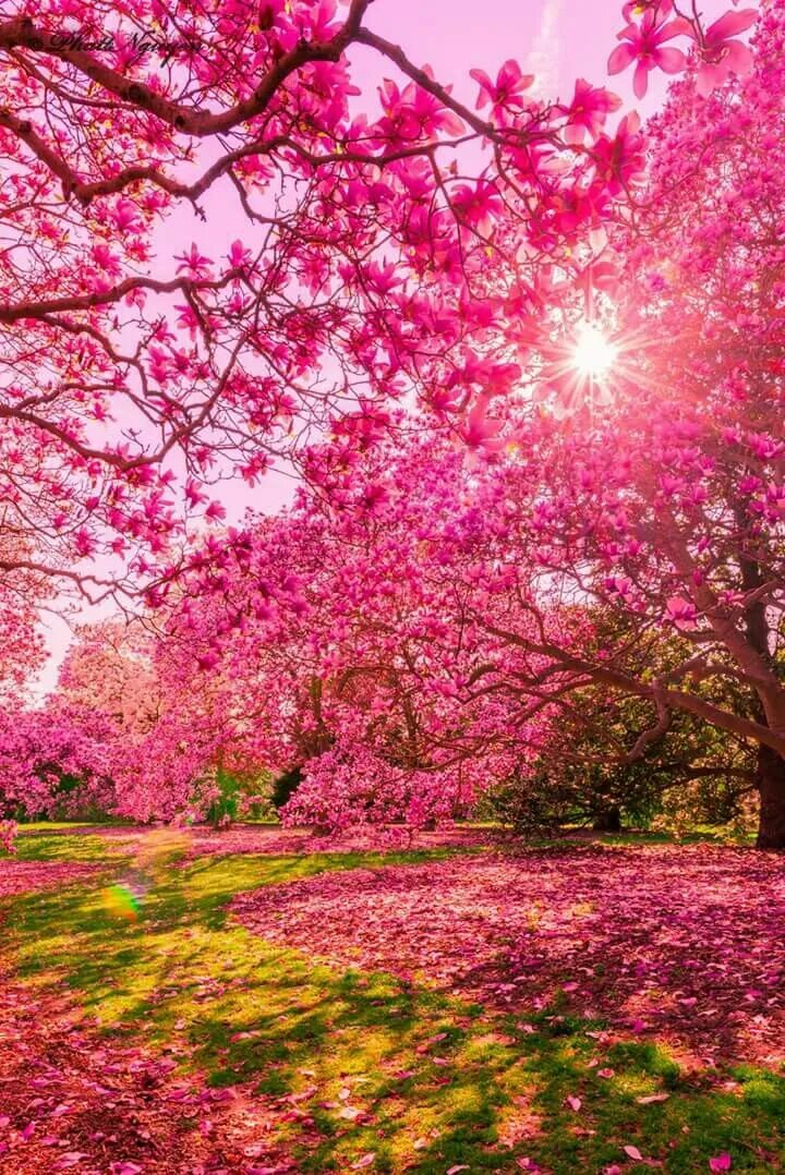 It is one of the beautiful