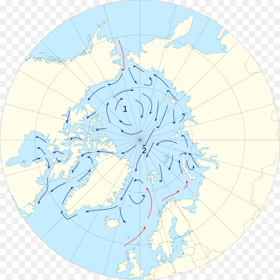 Течения Северного Ледовитого океана на карте. Северный Ледовитый океан на карте. Течения Северного Ледовитого океана. Течения Северного Ледовитого океана теплые и холодные на карте. Теплое течение ледовитого океана