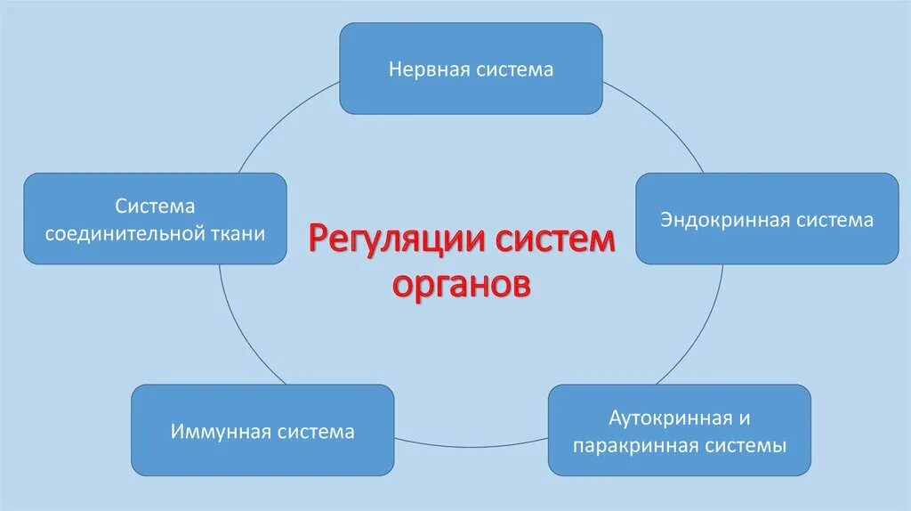 Нервная и эндокринная система. Нервная эндокринная и иммунная системы. Нервная и эндокринная регуляция. Эндокринная система и нервная система. Эндокринная и иммунная система