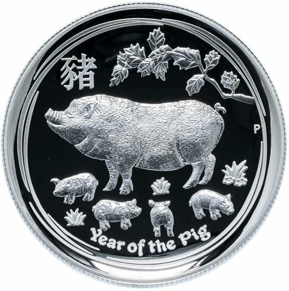 Серебряная монета. Серебряная монета с годом свиньи. Монета со свиньей. Монета с поросенком. Свинья монеты