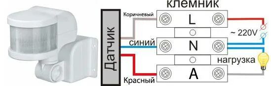 Датчик движения для включения света схема подключения с выключателем. Датчик движения схема подключения 220в с выключателем. Схема подключения датчика движения к лампочке. Датчик движения хамелеон схема подключения. Подключение датчика движения к лампочке