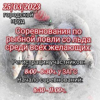 Твой континент