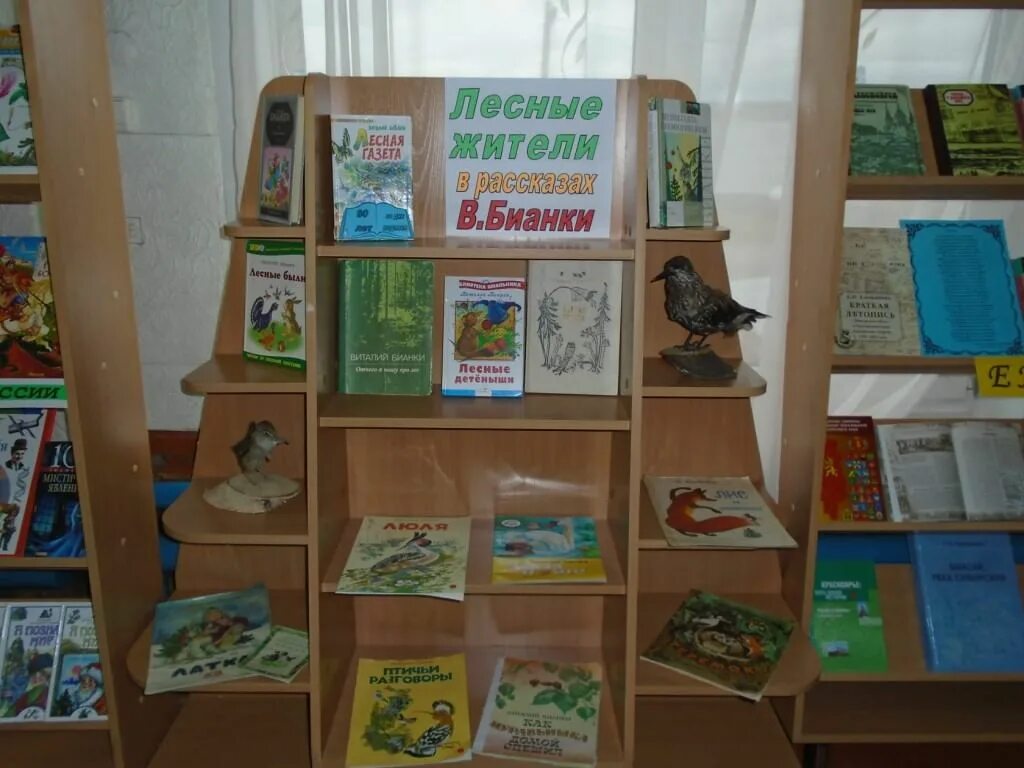 Книжная выставка бианки. Книжная выставка о природе в библиотеке. Название книжной выставки бианки в библиотеке. Книжная выставка по бианки. Выставка бианки в библиотеке.