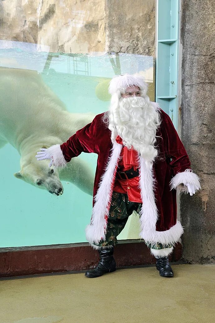 Французский дед Мороз. Пер-Ноэль. Зоопарк Деда Мороза. Дед Мороз во Франции.