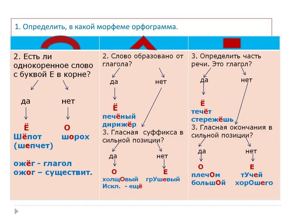 Орфограмма пример 3 класс. Орфограммы. Схемы орфограмм. Орфограммы русского языка. Что такое орфограмма.