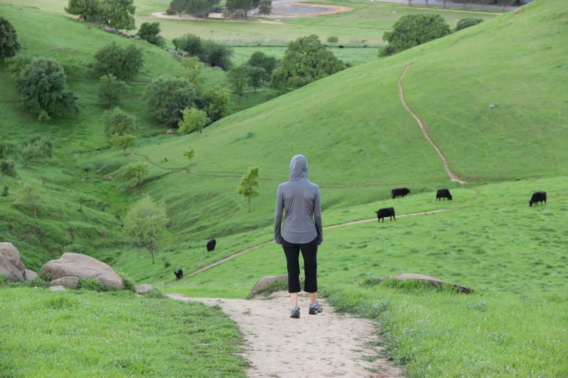 Path must be absolute. Нортумберлендская женщина холм. path on hill. woman on the hills. hill with human.