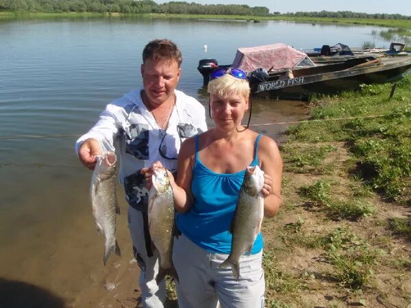 Рыбалка на Ахтубе в августе. Рыбалка в Знаменске на Ахтубе. Рыбалка в Астрахани. Рыбалка на Ахтубе в июле.