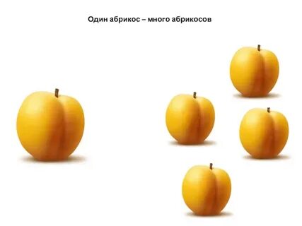 1 много овощи