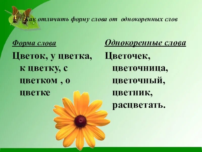 Как отличить форму. Формы слова и однокоренные слова. Форма слова и однокоренные. Форма слова 2 класс. Формы одного слова.