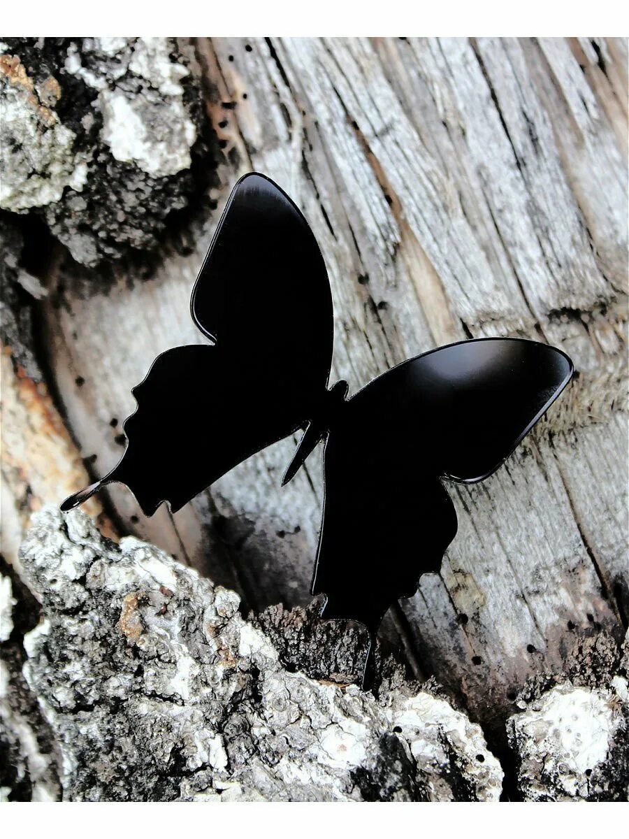 Бабочка черный глянец. Бабочка черная. Черная баба. Красивая черная бабочка. Чёрные бабочки в природе.
