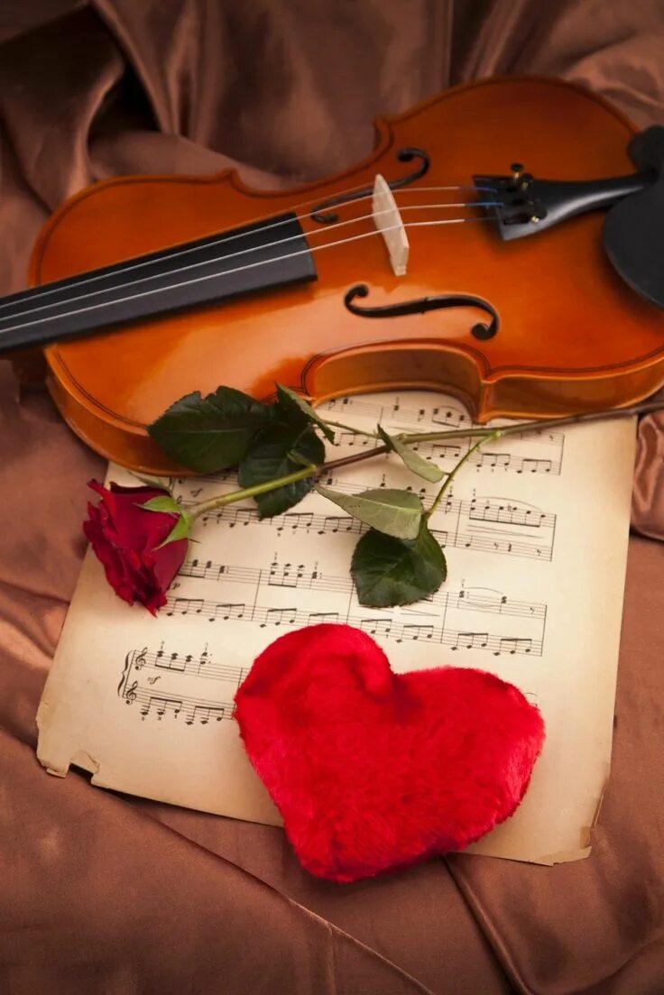 Violin love. Скрипка любовь. Скрипка сердце. Скрипка сердце любовь.