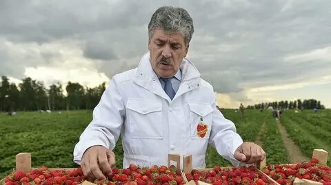 Совхоз без хозяина