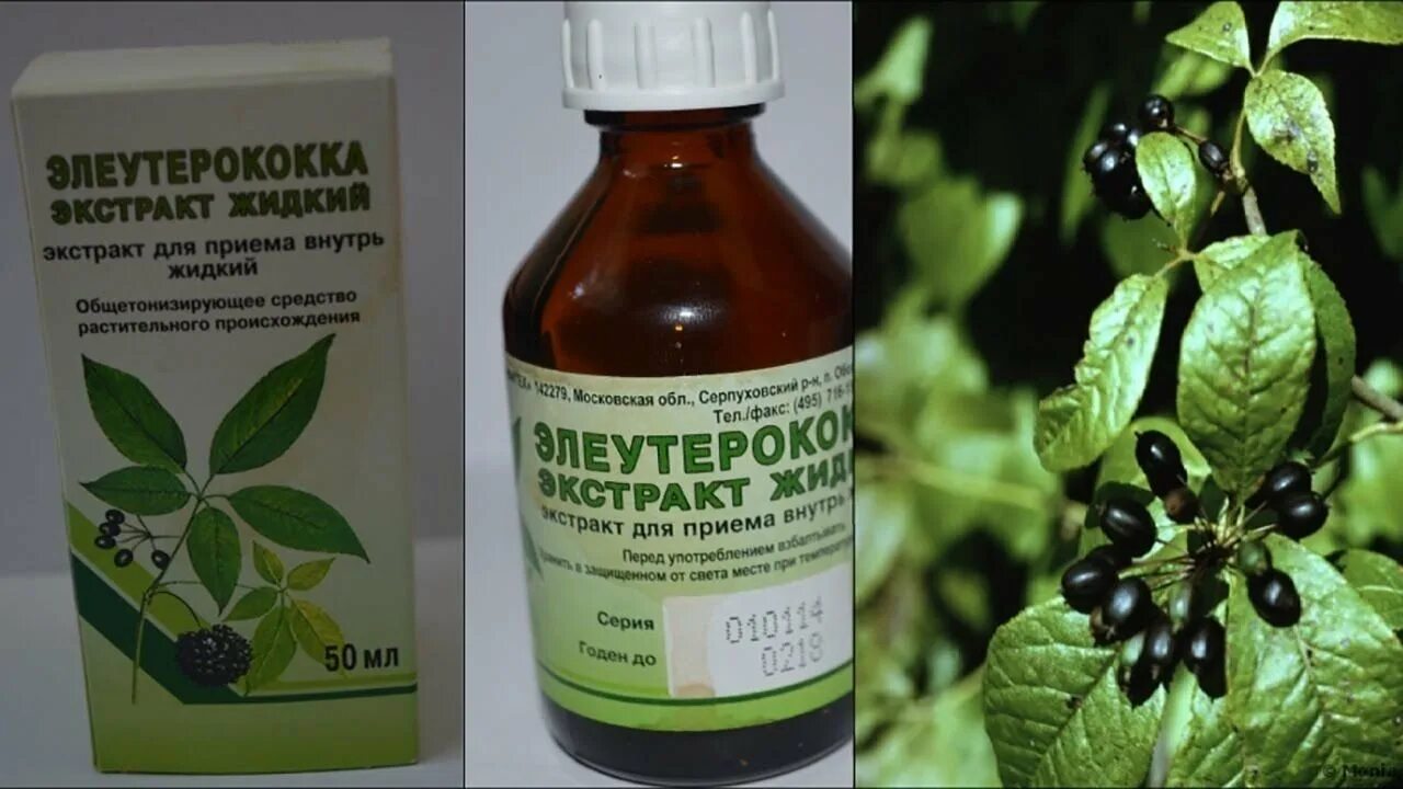 Будь здоров женьшень элеутерококк. Настойка элеутерококка фото. Экстракт женьшеня в таблетках. Комплекс женьшеня элеутерококка и зеленого чая. /бэгриф/.