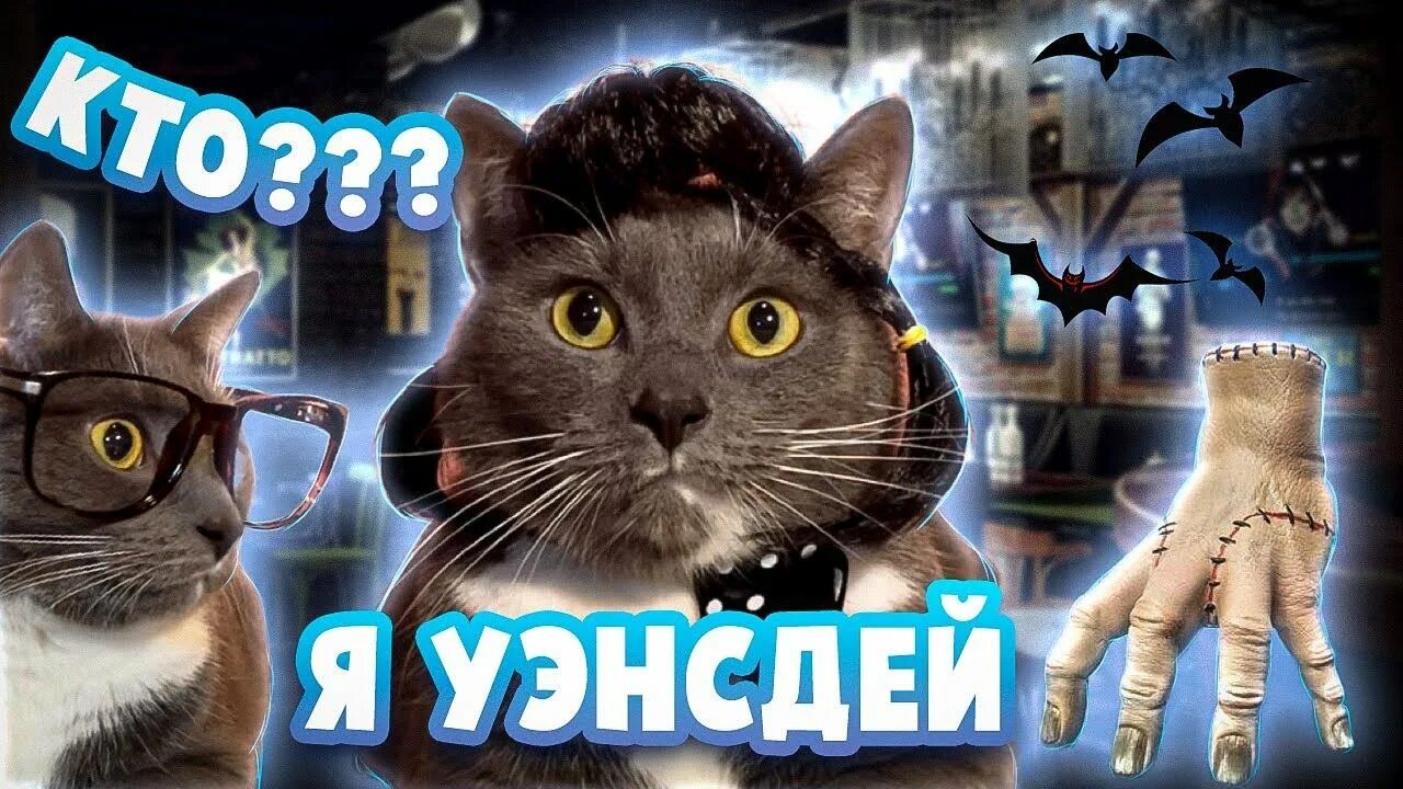Оххх, тут кажется 404.