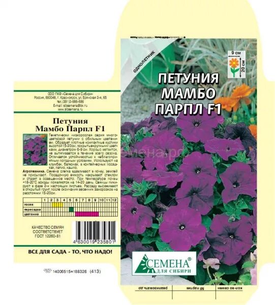 Петуния мультифлора мамбо. Петуния мамбо фото и описание. Петуния мультифлора мамбо джи пи блю. Петуния грандифлора лимбо джи пи бургунди. Петуния мамбо фото и описание.