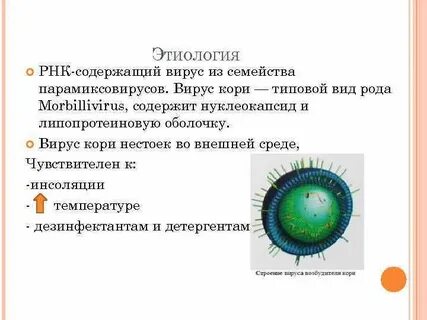 Этиология кори