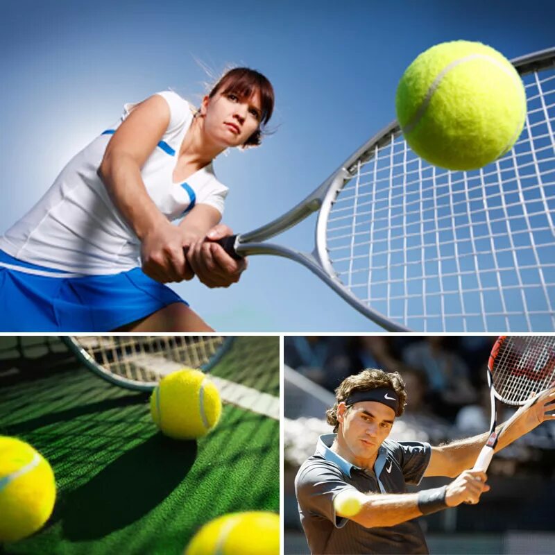 All sports tennis. Теннис. Большой теннис. Спорт теннис. Ракетка для тенниса.