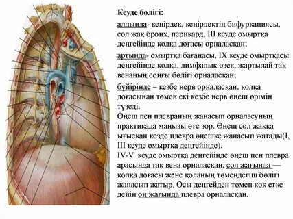 Bax Baths-тен бейне секс мультфильмдері