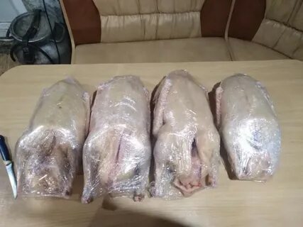 Гусь сколько кг мяса