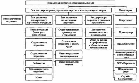 Заместитель директора относится к руководителям