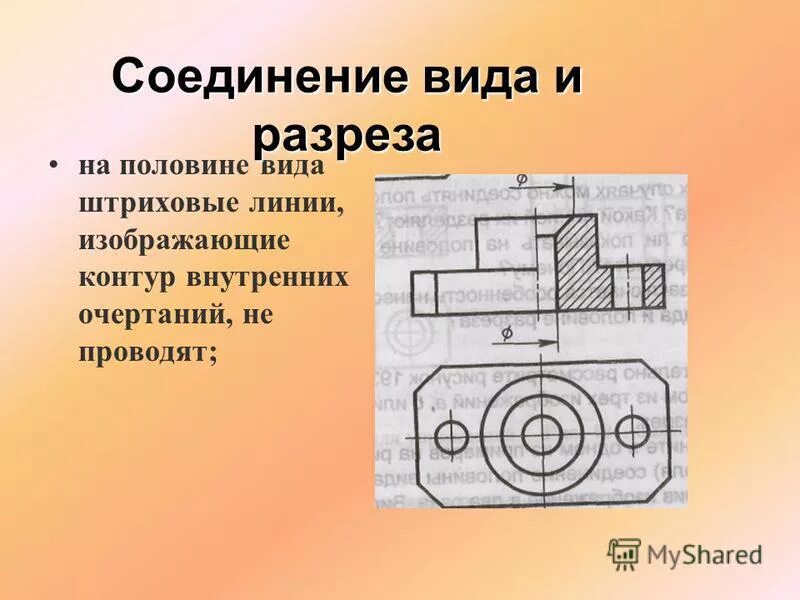 Половые соединения. Фронтальный разрез на виде спереди. Фронтальный разрез на чертеже.