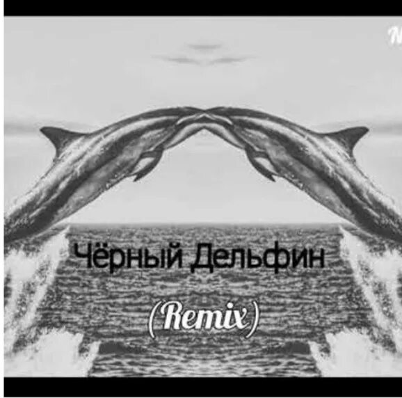 Песни про черных дельфинов. Гио пика Дельфин. Черный Дельфин Гио. Пика черный Дельфин. Гео пика черный Дельфин.