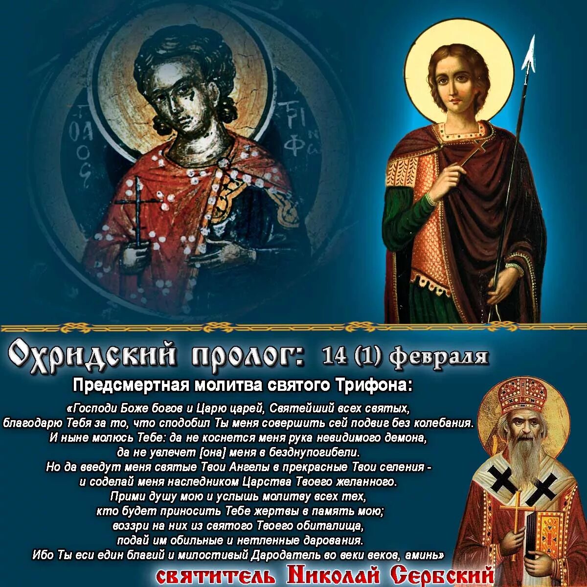 Молитва трифону о помощи. Молитва святому трифону. молитва трифону мученику. молитва святому мученику трифону. молитва св мученику трифону.