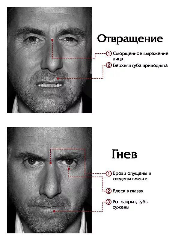 Выражение обмани