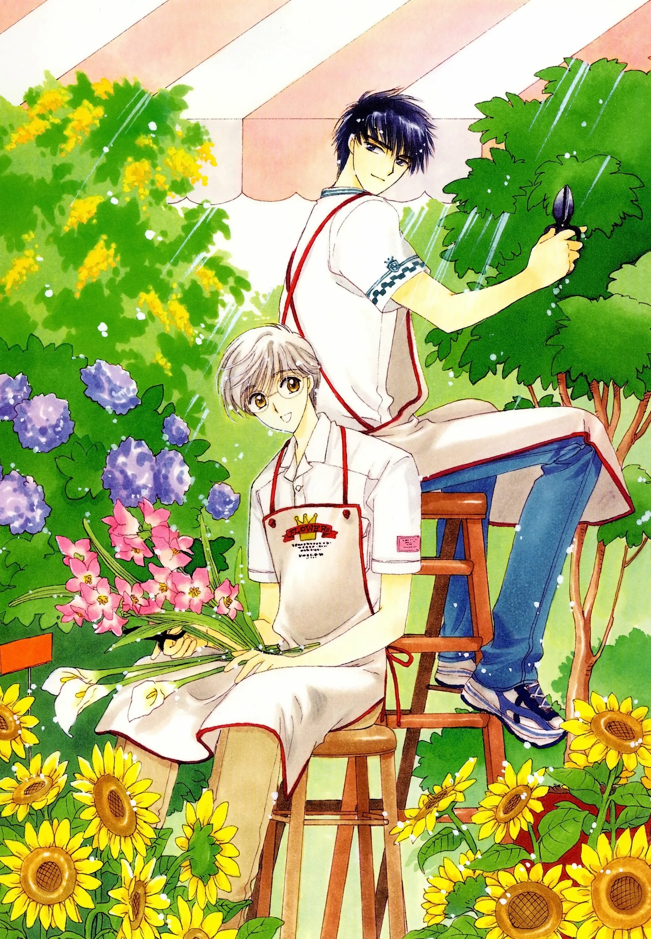 Yukito Tsukishiro. Yukito and Touya. Sakura Card Captor Юкито.