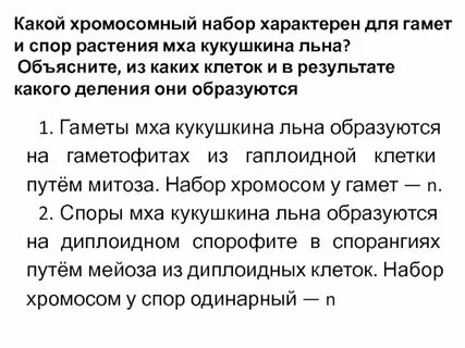 Гаметофит мха набор хромосом