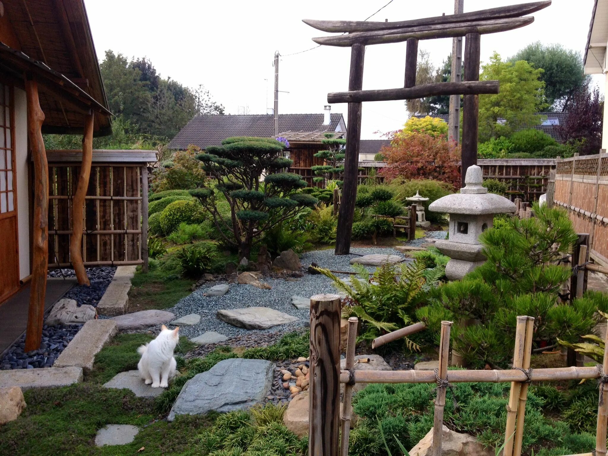 Pin on Jardin