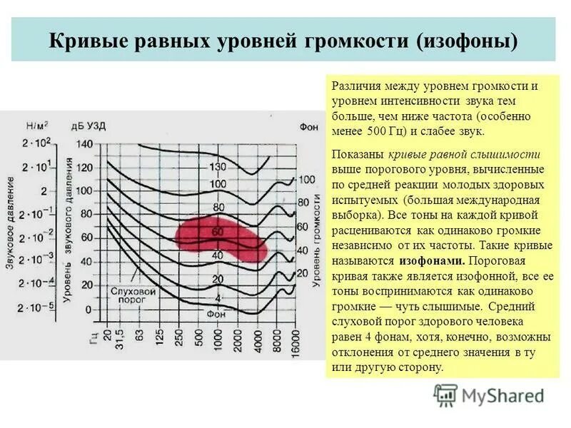 Кривые равной громкости. Кривая громкости и интенсивности от частоты. Кр вые равгной громкости. Кривые равной громкости звука.