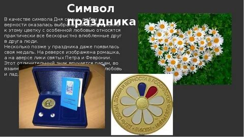 Какой цветок является символом дня семьи