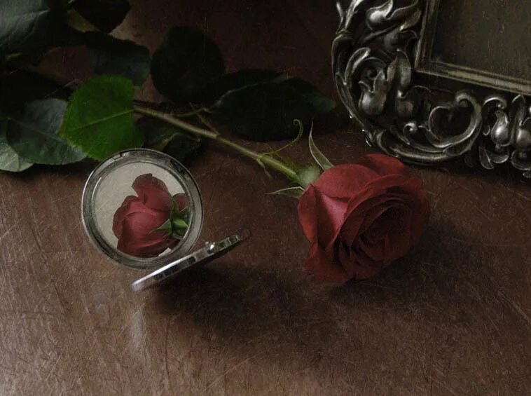 Цветы в отражении. Отражение розы в зеркале.