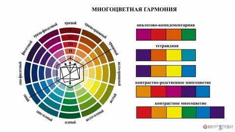 5 любых цветов