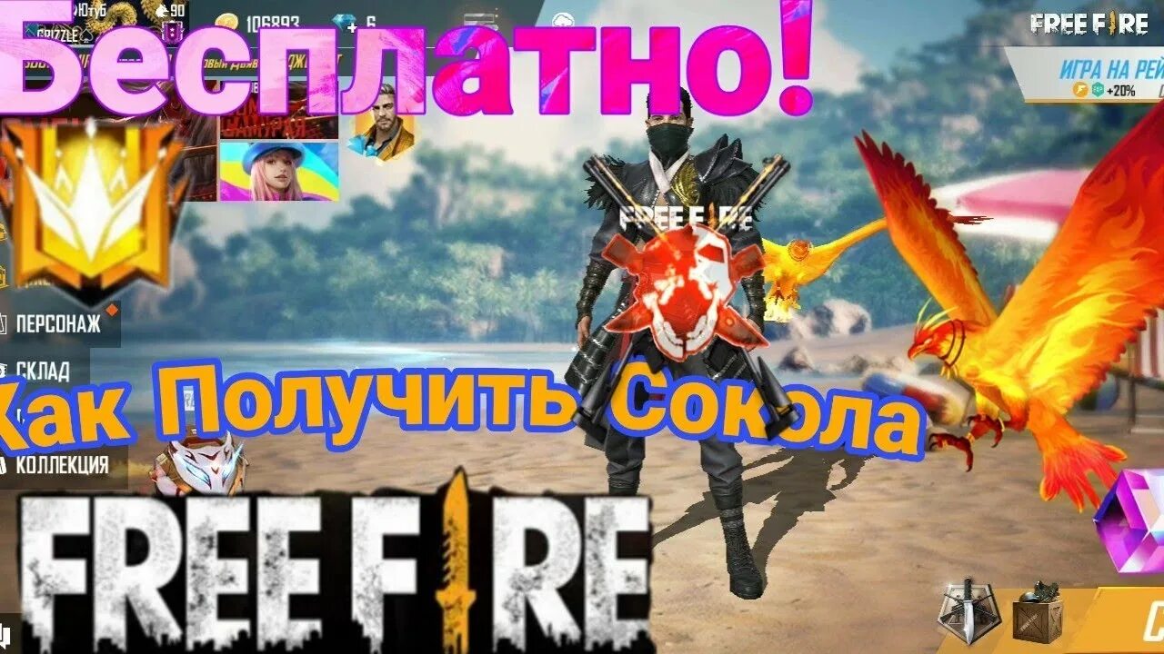 Сокол сапсан в полёте. Крылья мастера диабло 3. Сапса́н falco peregrinus. Крылья дьябло в дьябло 3. Агуйя птица.